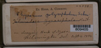 Image Associated With the Occurence